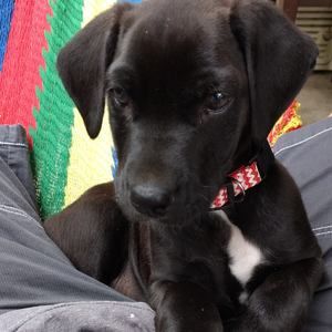 Meet your Posher, Eddy